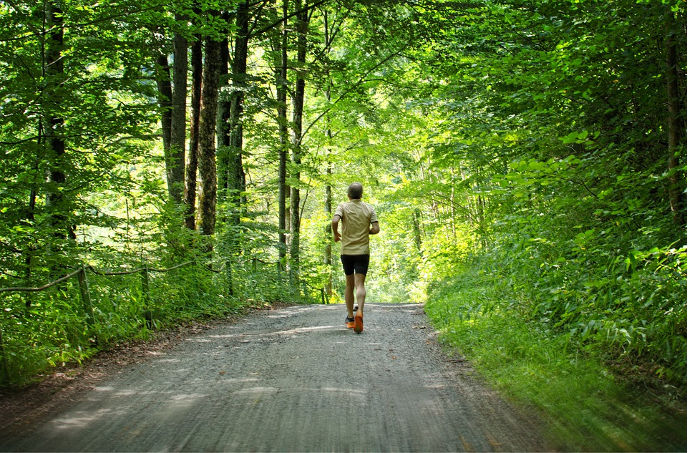 Lauftraining Dresden