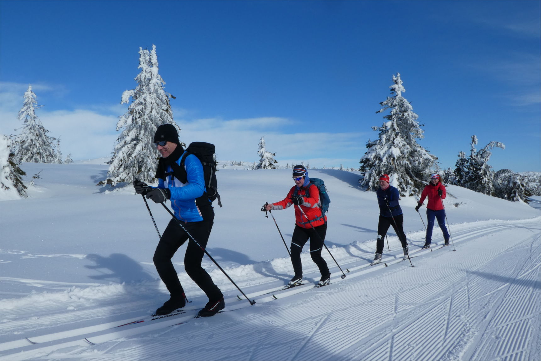 Skilanglauf Dresden